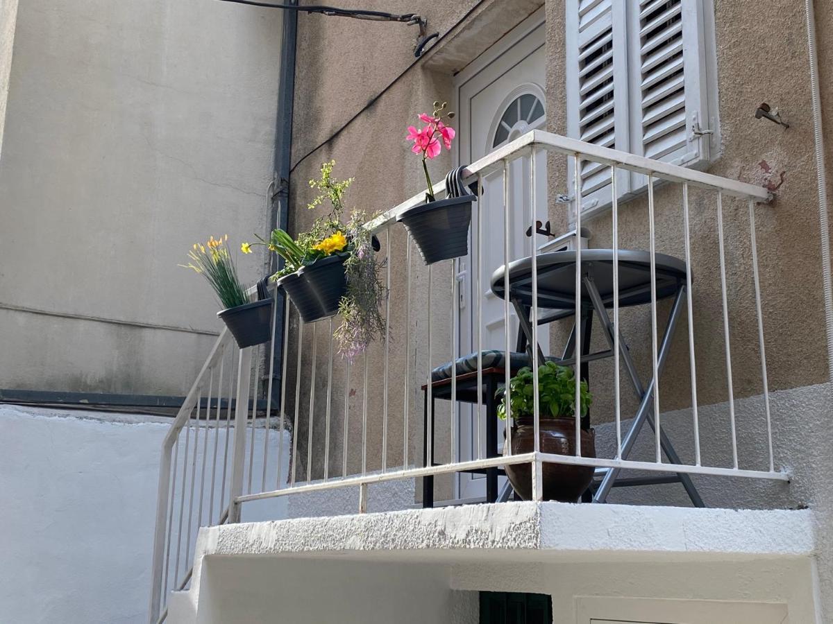 Calla Apartma